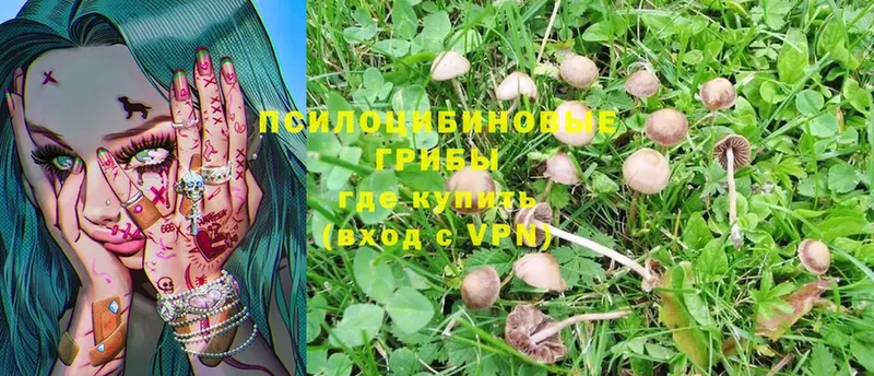 Галлюциногенные грибы Magic Shrooms  Калязин 